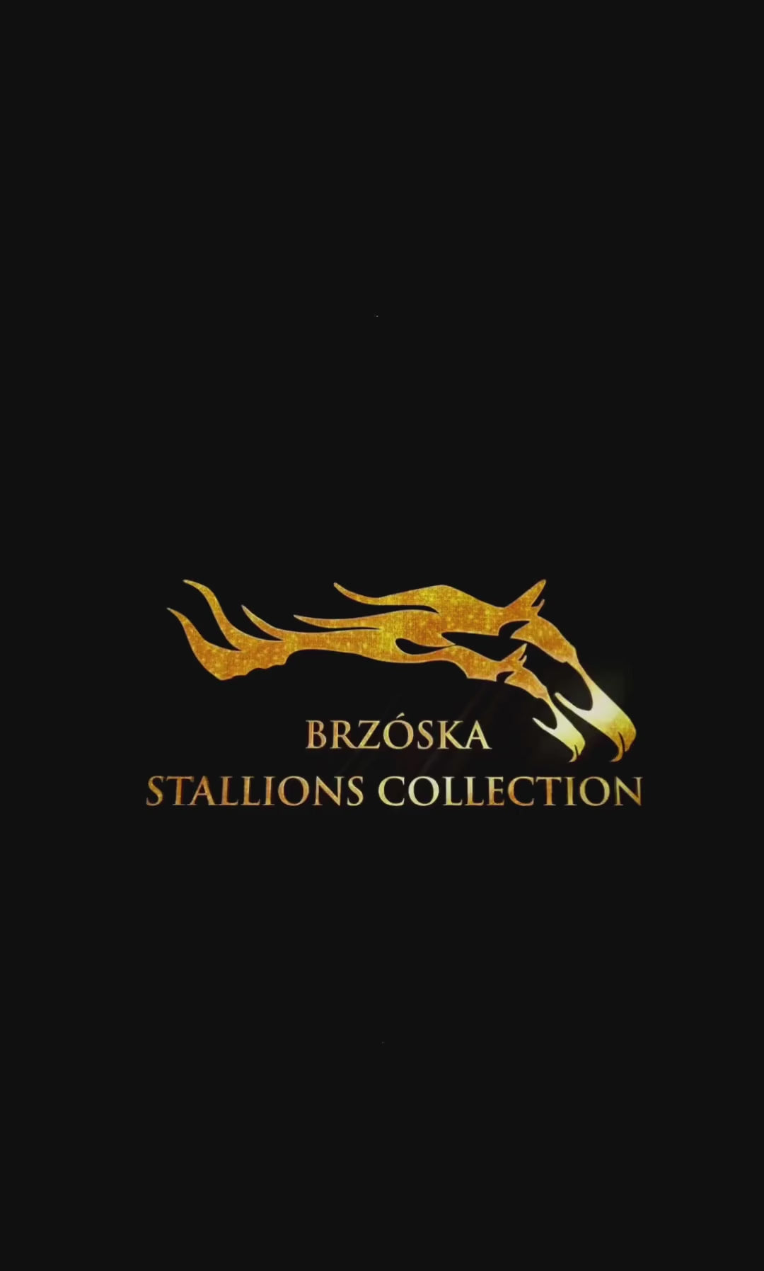 Brzoska Stallions Collection - stanówka| inseminacja klaczy ogierami ...